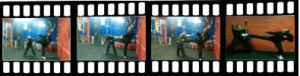 MD Show Reel