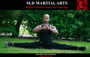 Sifu-Sparring-Kicks